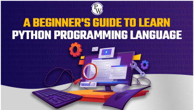 Become a Professional Programmer